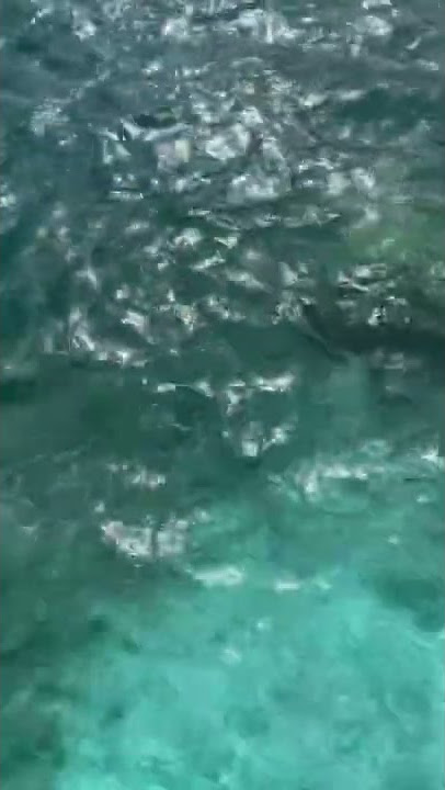 Ripples on Water Surface