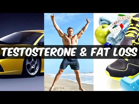 How Testosterone Affects Fat Loss: Real Science of Low-T | Thomas DeLauer