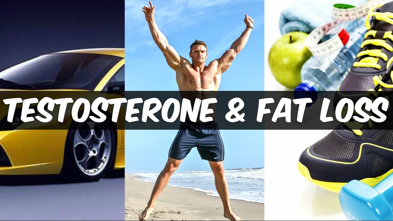 does testosterone make you lose weight