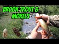 Brook trout fishing  morel mushrooms