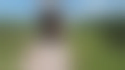 Hog Hunt with Okeechobee Outfitters