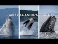 The three photos that can CHANGE YOUR CAREER! | From a Wildlife Photographer