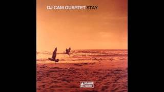DJ Cam Quartet - The look of love chords