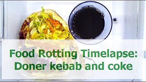 Food Rotting Timelapse: Doner kebab and coke (Mould)