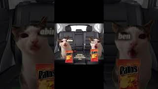 Pırt 2 Için 100Like