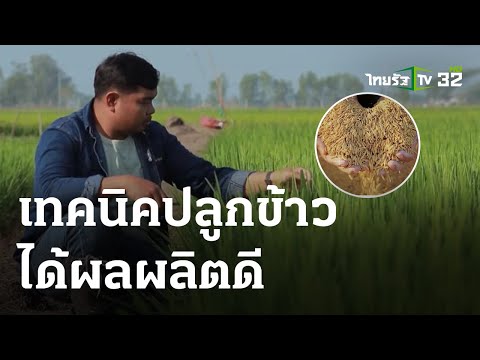 วีดีโอ: ปลูกข้าวเองได้ไหม - เคล็ดลับในการปลูกข้าว