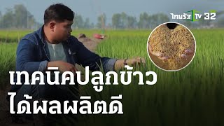 สูตรเด็ดเกร็ดเกษตร : เทคนิคปลูกข้าว ได้ผลผลิตดี | 04-06-66 | ตะลอนข่าวสุดสัปดาห์