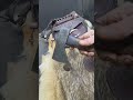 Forged hudson bay hand axe by me Mark McCoun available on ebay key word mccoun #viral #viralvideo