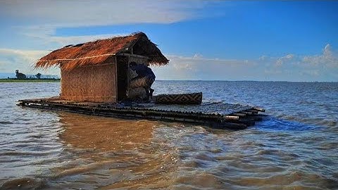BERTAHAN HIDUP MEMBANGUN RUMAH APUNG TEMPAT MENGINAP SELAMA 100 HARI DI DANAU TEMPE EPS 1