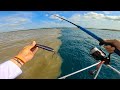 Imposible NO PESCAR aquí!! | Dorado, Pez Gallo y Triple Tail!