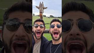 Llegamos a África 🦒🦁🌍😜 #sisomosgemelos #africa #animales #TeamGalaxy #GalaxyS25 Edge #publicidad