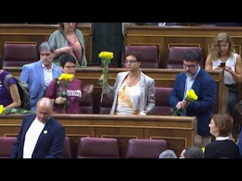 Flores amarillas para recordar a Junqueras: otro "show" de ERC en el Congreso