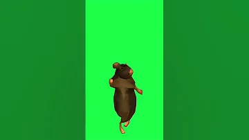 رياكشن الفار يرقص Rat Dance قرين سكرين Cat كروما خضراء كرومات Memes Gaming Games 