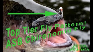 ASB (Anti Static Bag) Red Rib Chironomid Pupa Top Tier Fly Pattern Fly Tying Tutorial