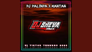 DJ DALINDA X MANTAN REVERB VIRAL TIKTOK MENGKANE