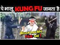 असल ज़िन्दगी KUNG FU PANDA मिलगया? Top Enigmatic Facts in The World