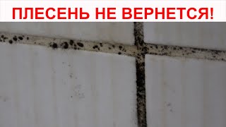 ПЛЕСЕНЬ БОЛЬШЕ НЕ ВЕРНЕТСЯ. Как очистить швы между плиткой от плесени простым чистящим средством