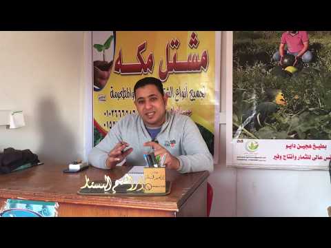 التحجيم والتلوين ودور البوتاسيوم