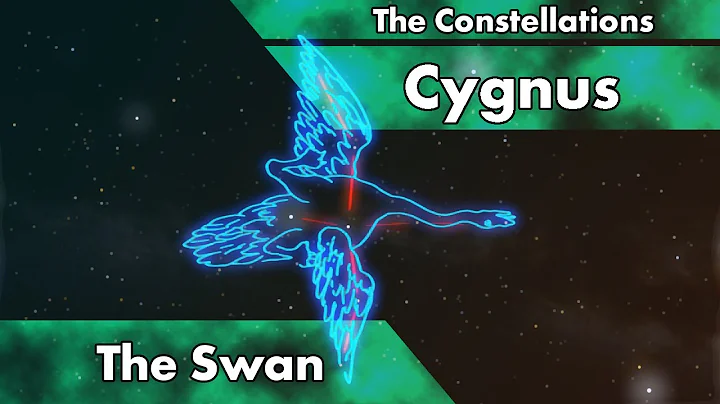 The Constellations - Cygnus