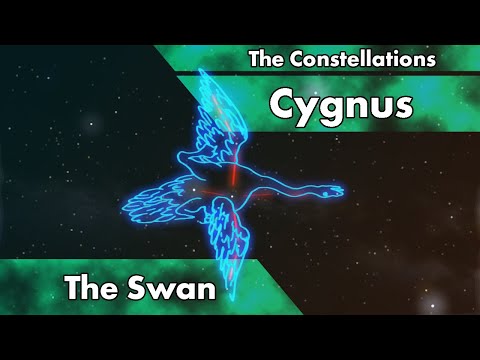 Video: What Does The Constellation Cygnus Look Like?