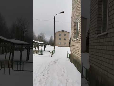 #латвия #силене #