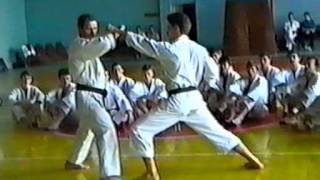Семинар по Каратэ Фудокан А.Попеску - 5 Дан в Кишиневе 1994 год - 3 часть
