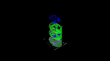 DICOM image segmentation