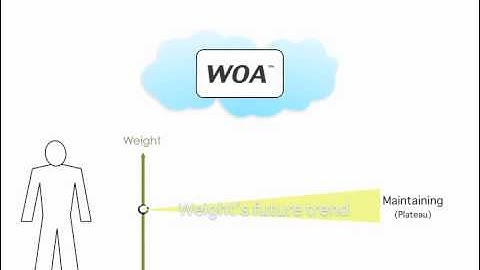 WOA Algorithm v3