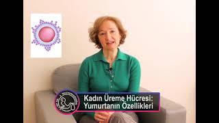 KADIN ÜREME HÜCRESİ: YUMURTANIN ÖZELLİKLERİ