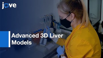 Genotoxicity Testing Post Long-Term Nanomaterial Exposure l Protocol Preview