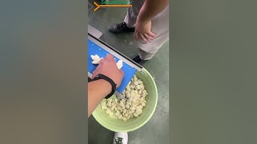 【Wonton machine】#dumplingmakingmachine #dumplingmachine #dimsumfrozen #cooking #wonton