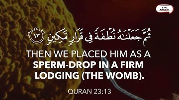 القرآن الكريم | سورة المؤمنون |  َلَقَدْ خَلَقْنَا الإنسان مِن سلالة مِّن طِينٍ..