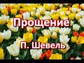 Прощение. П. Шевель. Беседа. Проповедь. МСЦ ЕХБ.