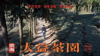 安妞的雲南｜手作普洱茶餅表心意 邊做邊跳音浪？！ 普洱茶原產地不是普洱 勐海大益莊園解惑茶文化