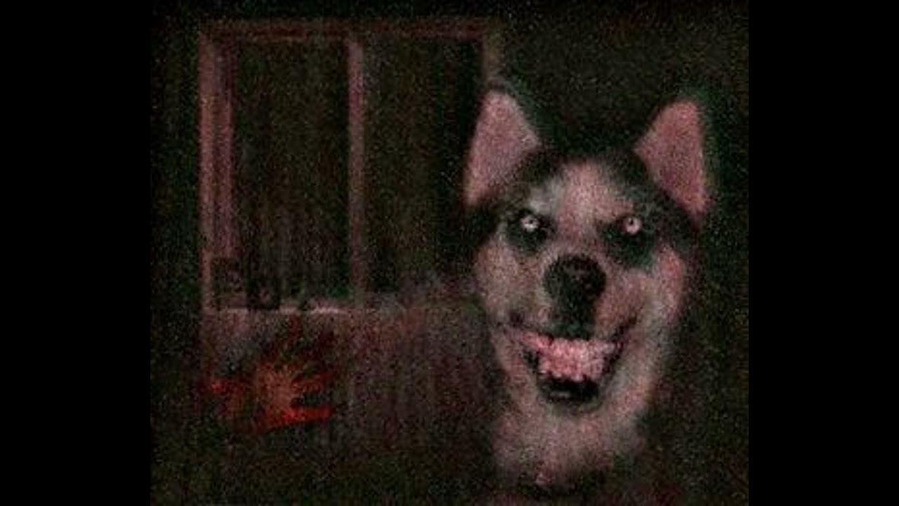 Ythotkk — Chillen Summer(slowed by Blackfire)