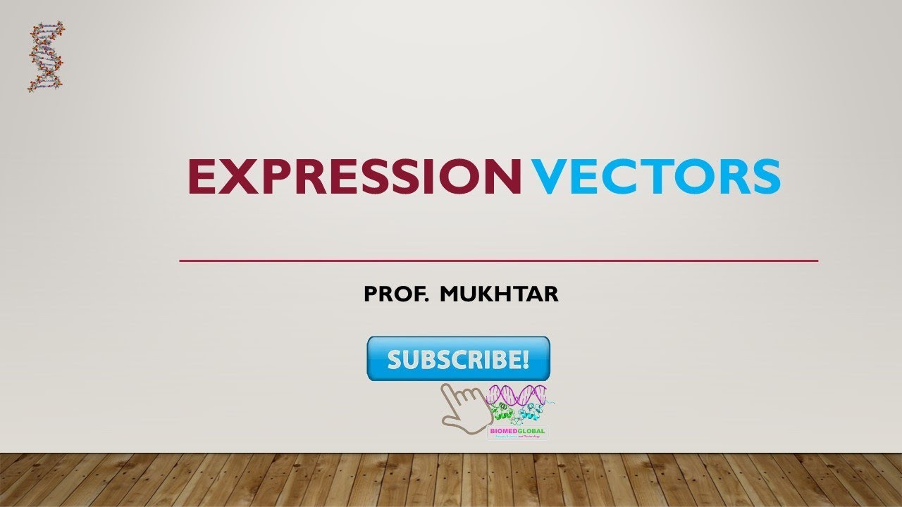 Expression Vectors YouTube