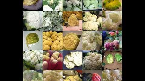 Consecutive category morphing of GANs generated images (submitted to ICLR 2018)