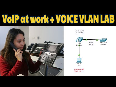 VoIP Basics |