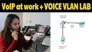 VoIP Basics | Real world implementation | Voice VLAN configuration(Packet Tracer)