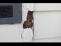 How to fix wood rot 1 of 4
