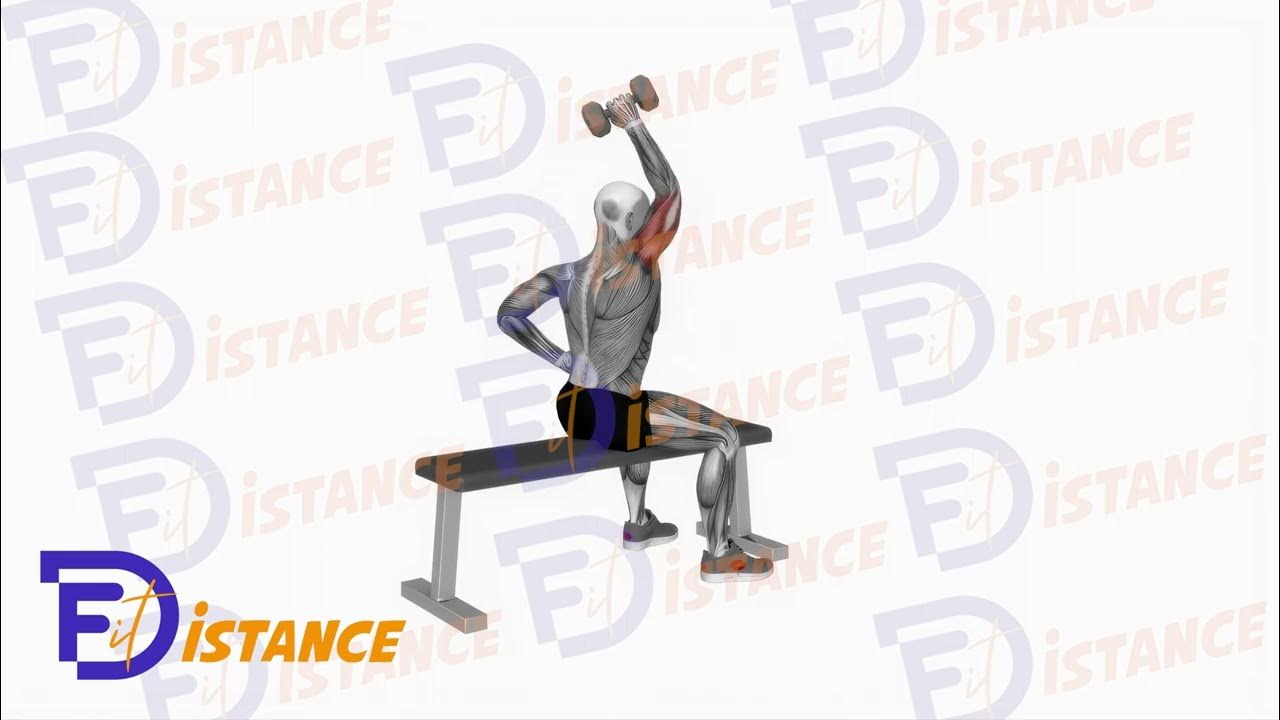 Extension unilatérale des triceps avec haltère en position assise audessus de la tête YouTube