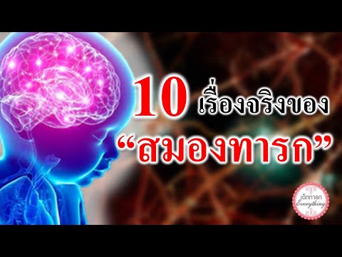 วีดีโอ: 10 ข้อเท็จจริงที่น่าอัศจรรย์เกี่ยวกับสมองของทารกแรกเกิด