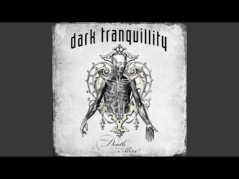 Lost to Apathy (Live in Milan 2008) - YouTube
