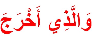 منهج جلين دومان لتعليم القران الكريم - سورة الاعلى الجزء 1