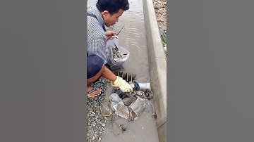 Unclogging Plastic Bags Culvert Drain #cleaning #plastic #shorts #satisfying #unclog