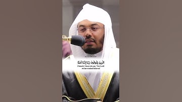 "الذين يقولون ربنا إننا آمنا فاغفر لنا ذنوبنا وقنا عذاب النار" | تلاوه خاشعه للقرآن الكريم