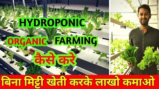 Hydroponic Farming Kya Hoti Hai  | What is Hydroponic Organic Farming 