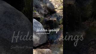 There are so many hidden jems in the Sierras #hiking #waterfall #adventure #california #beautiful
