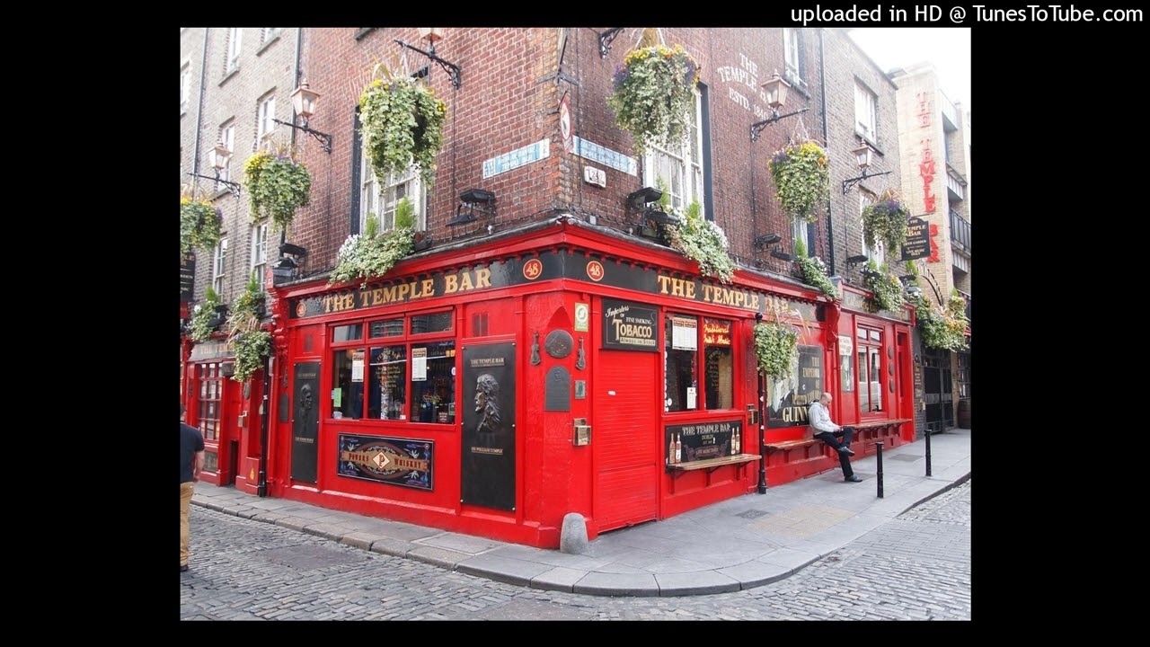 Down by the Sally Gardens (Deutsch) - KEIN SCHWEIGEN MEHR | Irish Folk Ballade gegen Rechts