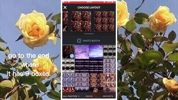 Cc(p): Spin Transition + Mirror Picture